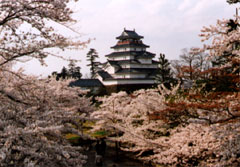 鶴ヶ城、写真